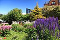 Flower garden in Ushuaia (5542996965)