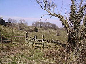 Gate and Stile - geograph.org.uk - 141250.jpg