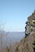 Grandfather Mountain NC