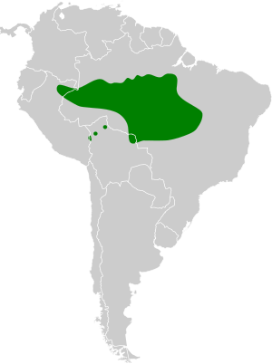 Heterocercus linteatus map.svg