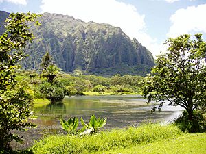 Ho'omaluhia Botanical Garden - lake view