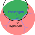 Hyperbolic pseudogon example0