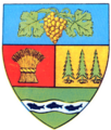 Interbelic Bihor County CoA