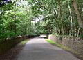 Kinchley Lane next to Swithland Reservoir - geograph.org.uk - 516366