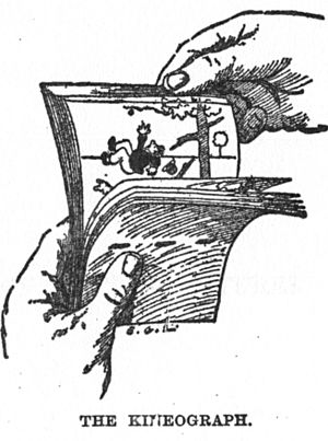 Linnet kineograph 1886