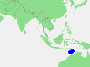 Locatie Timorzee