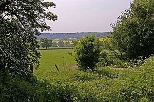 Looking across ditch to farmland, Botany Bay Farm, Enfield - geograph.org.uk - 796000