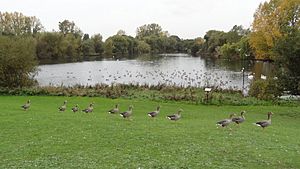 Mayesbrook Park 2