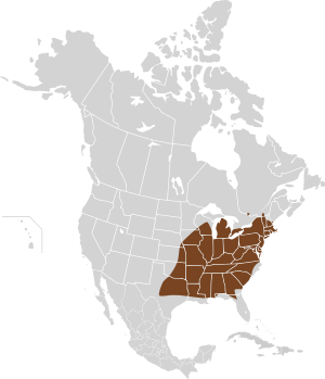 Microtus pinetorum map.svg