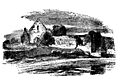 Monastic Ruins at Annaghdown