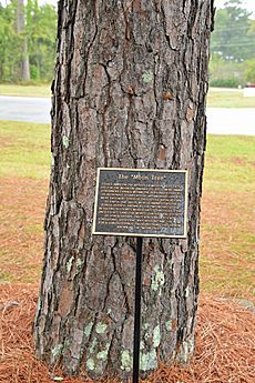 Moon tree plaque, Waycross, GA