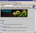 Mosaic Netscape 0.9 on Windows XP