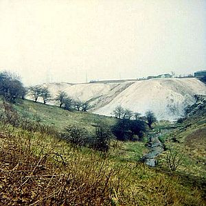 Moston Brook and the White Hills, east of Belgrave Road, November 1970