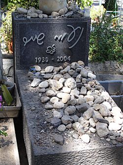 Naomi Shemer's grave