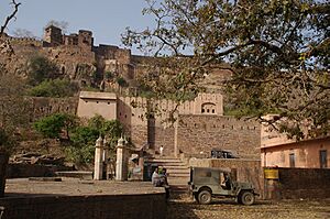 Naulakha gate,ranthambor fort