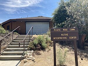Nuui Cunni exterior closed 2023