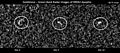 PIA24168-Asteroid-99942Apophis-RadarImages-20210326