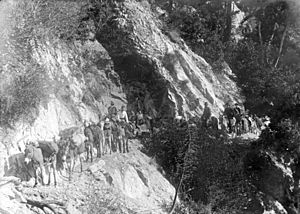 Pack train to Wilson Peak, Sierra Madre Trail, ca.1900 (CHS-4718)