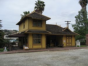 Palms Depot