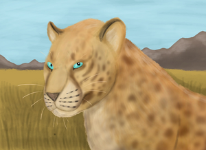 Panthera onca mesembrina JF.png
