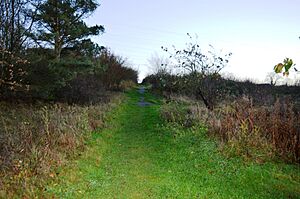Park Wood, Bedford 5