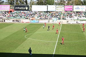 Partido de futbol toledo-real murcia