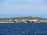 Penguin Island Kitchen & Store Cave, April 2021 01.jpg