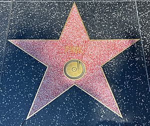Pink star (Hollywood Walk of Fame stars)