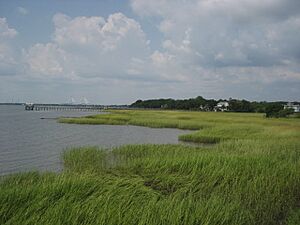 Pitt street bridge in old village