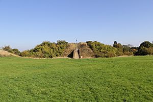 Pleshey Castle (3) (22075584835)