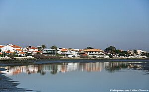 Ria de Aveiro - Praia da Barra - Portugal (22523026747)