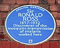 Ronald Ross plaque, Johnston Building, Liverpool