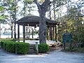 SR Beach Eden Gardens SP stage01