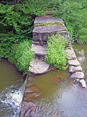 Silver Lake Dam, Woodridge, NY