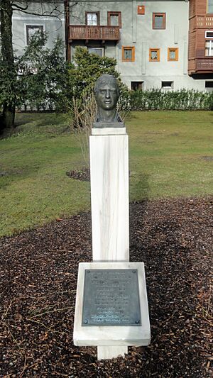 Skirennläufer Josef Walcher