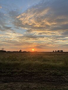 Skyline of Farmland