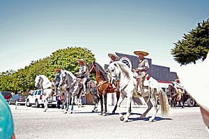Spanish Cowboys and Horses