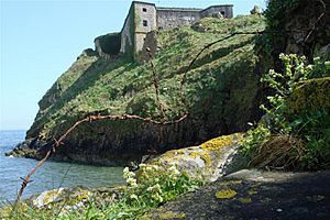St Catherine's Fort Tenby From Lower Steps