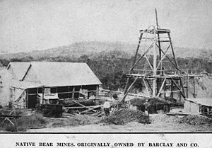StateLibQld 2 154671 Native Bear Mine in Mt. Coolon, Queensland