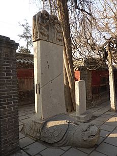 Temple of Mencius - possibly Yuan bixi near Qisheng Hall - P1050933