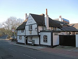 The Running Horse Pub, Leatherhead - Surrey