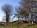 The motte - geograph.org.uk - 619508