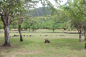 Tibes Indigenous Ceremonial Center (6)