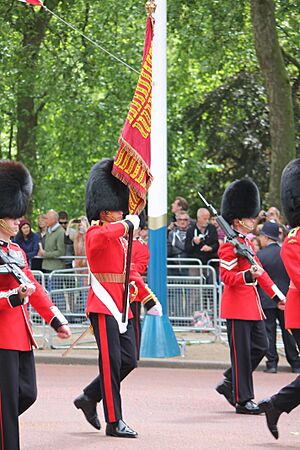Trooping the Colour, the Colours