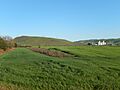 USA-San-Jose-Tulare-Hill-1