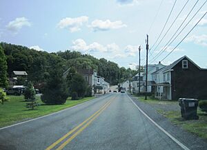 Photo of Branchdale along US 209