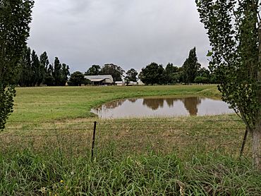 Uriarra, New South Wales 2.jpg