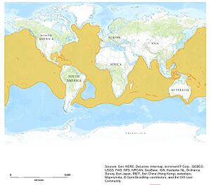 World Distribution Map of the species M. niger