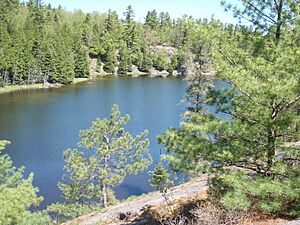 82 Minow Lake, Nanabush Trail. Petroglyph Provincial Park