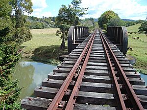Abandoned Railway Bridge Mooball - panoramio (2)